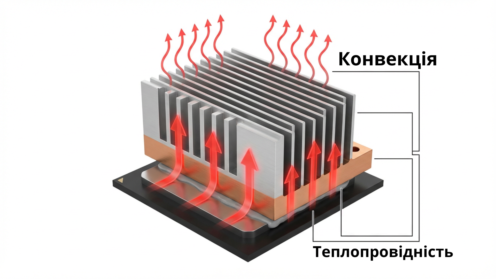 Строение радиатора и пути теплопередачи
